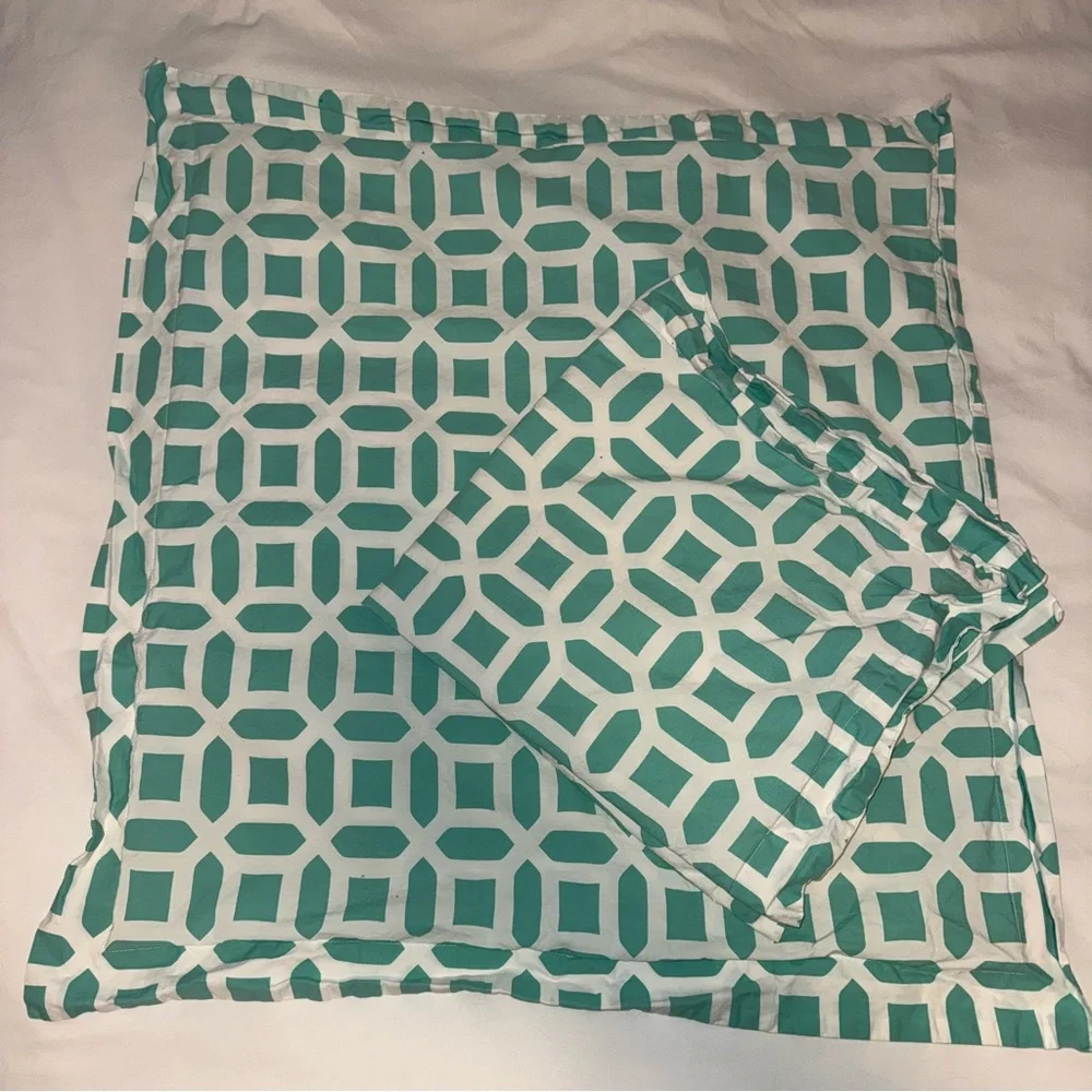 Pottery Barn Peyton euro pillow shams